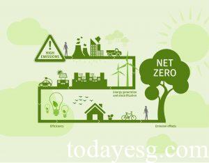 Net Zero