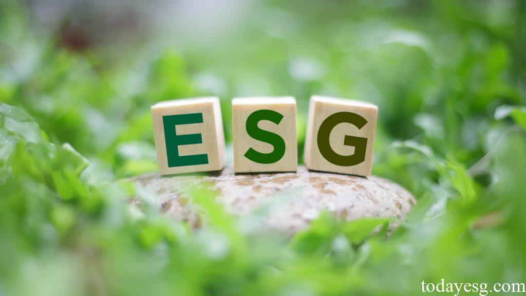 ESG One