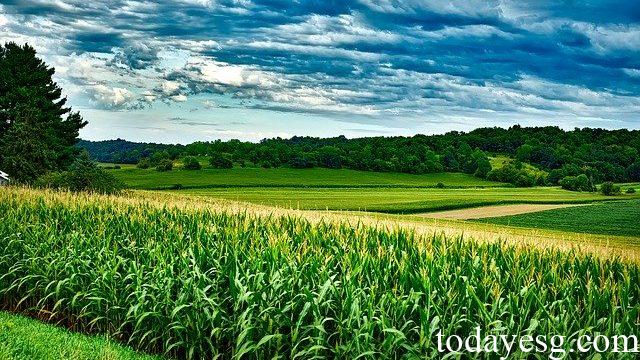 Sustainable Food Production