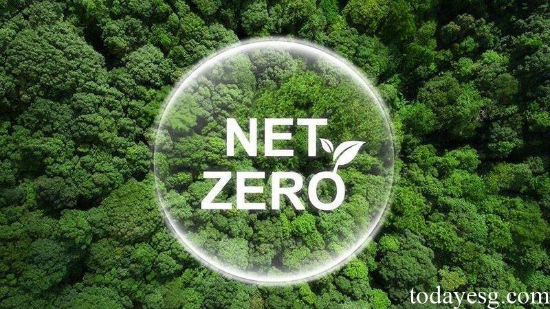 International Standard for Net Zero 