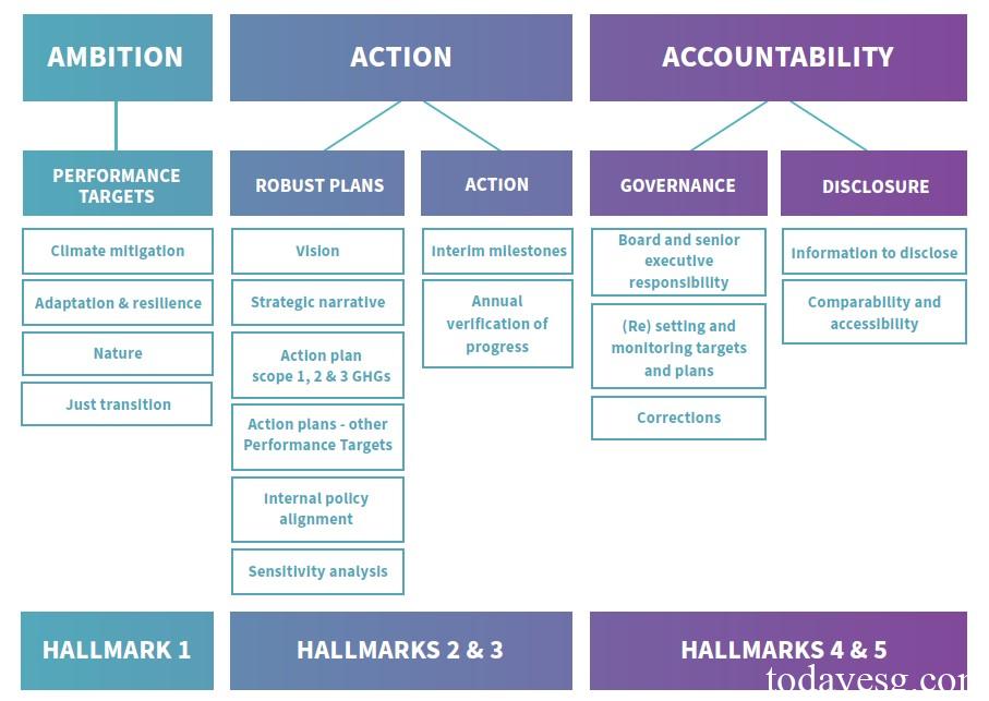 Transition Assessment Guidelines