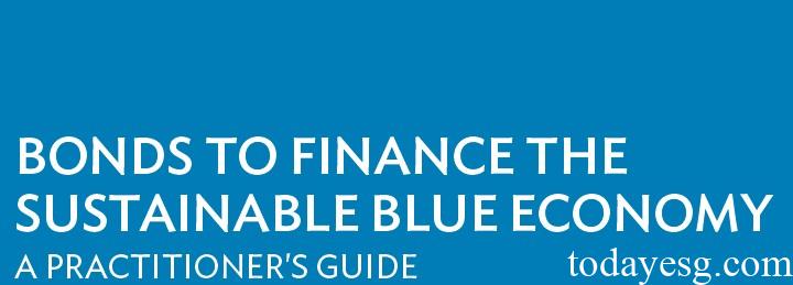 Blue Bond Guidance