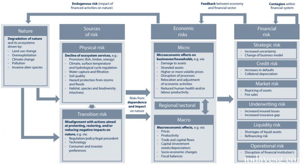 Nature-related Financial Risks