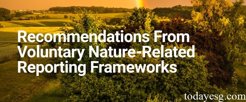 Recommendations for Nature-related Reporting Framework