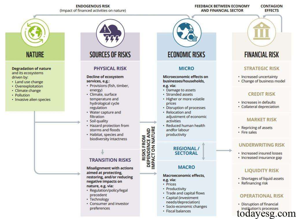 NGFS Nature-related Risks