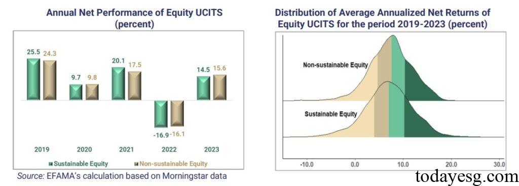 Sustainable Equity Performance