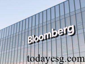 Bloomberg