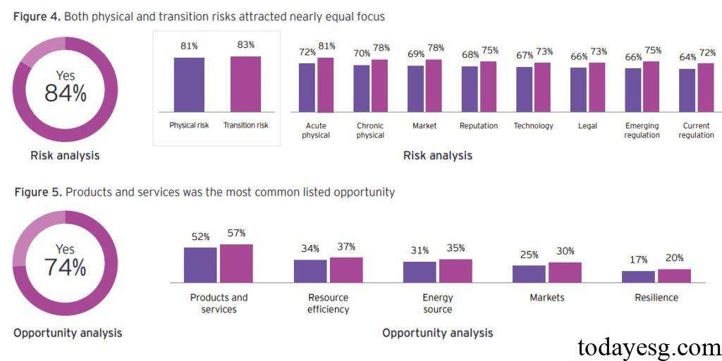 EY 2024 Global Climate Action Report Climate Risk and Opportunity Analysis