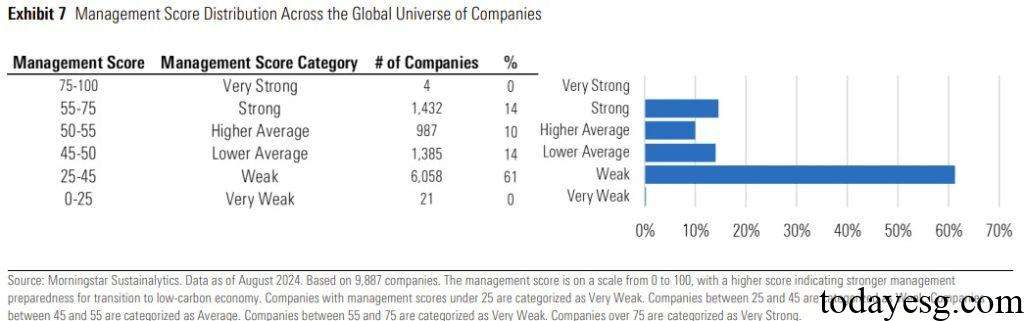 Company Management Score Distribution