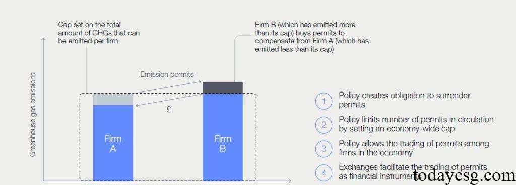 Net Zero Transition Financing Cap and Trade Systems