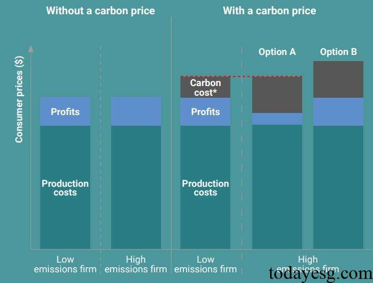 Incentive Mechanism of Carbon Pricing Tools