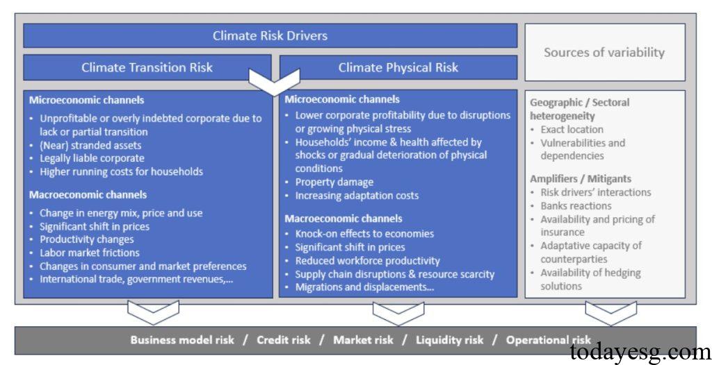 Guidelines on ESG Scenario Analysis Climate Risk Transition Channel