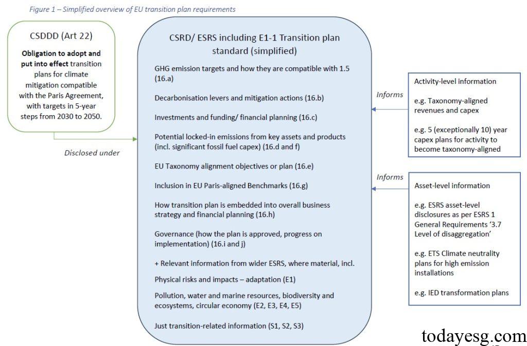 Corporate Transition Plan Evaluation