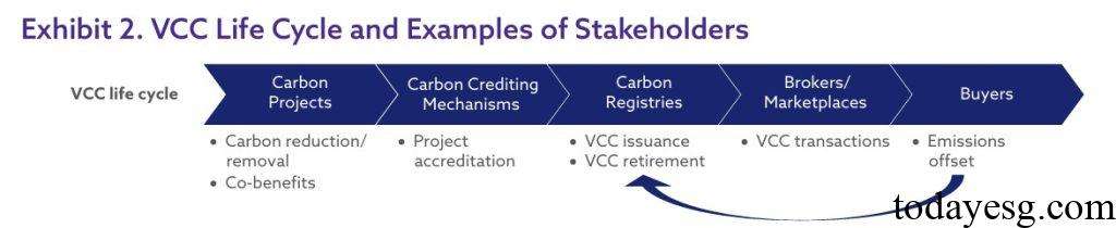 Voluntary Carbon Market Procedure