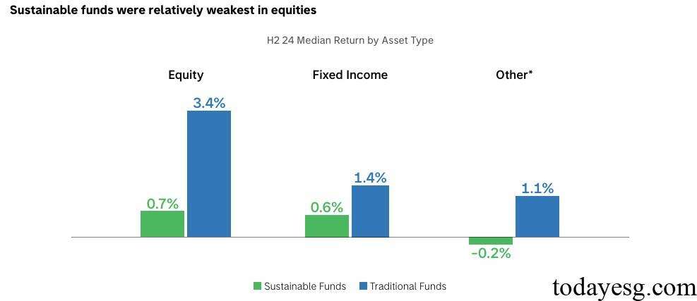 Global Sustainable Fund Asset Return